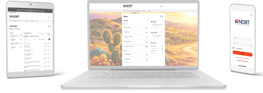 Examples of youth and teen online banking