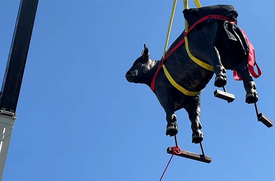 Crane lifting cow sculpture